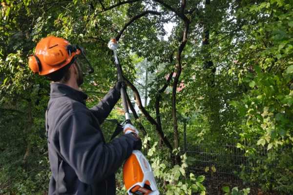 HTA 66 Battery Pole Pruner Skin (uses AP Battery System) - Image 7