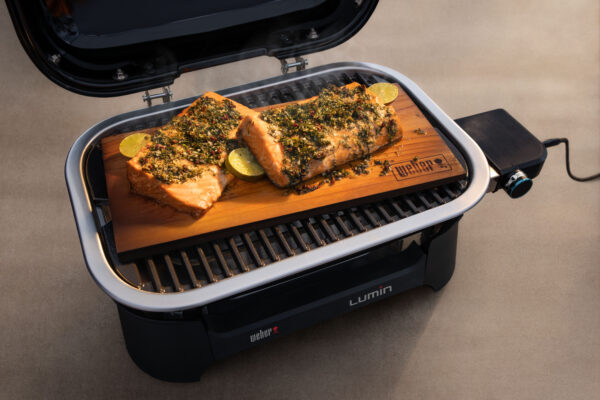 Lumin Electric Barbecue - Image 7