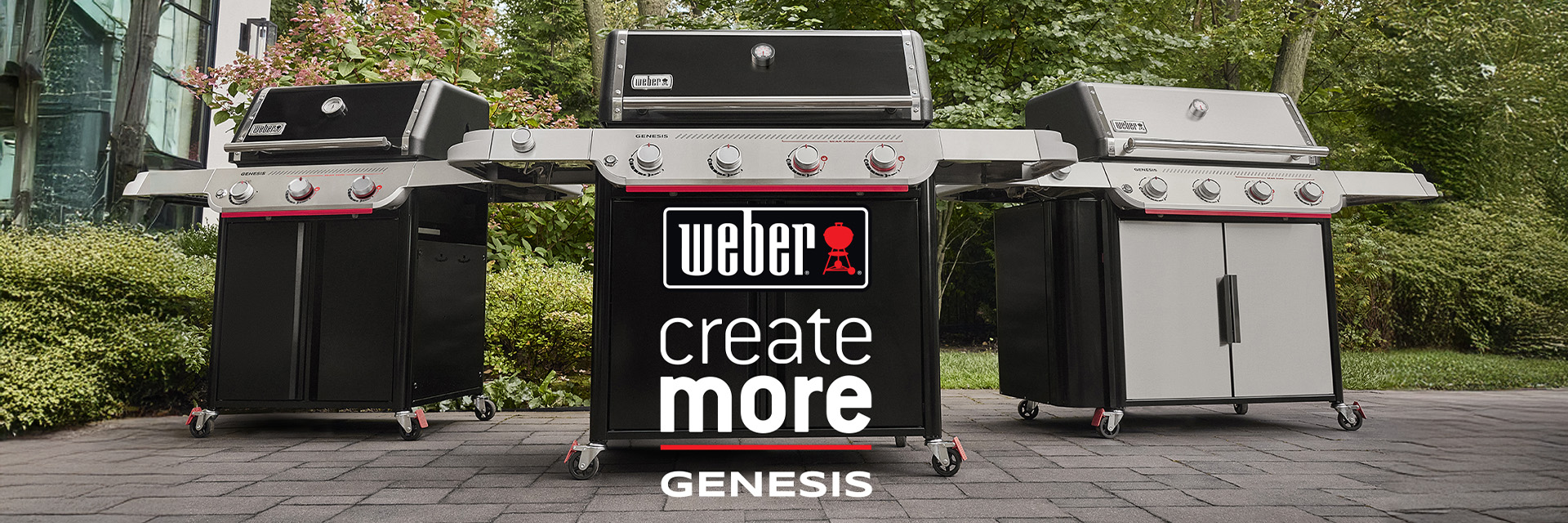 Weber Genesis Banner (3)